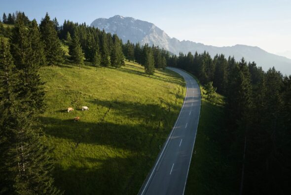 Advisory and Transaction