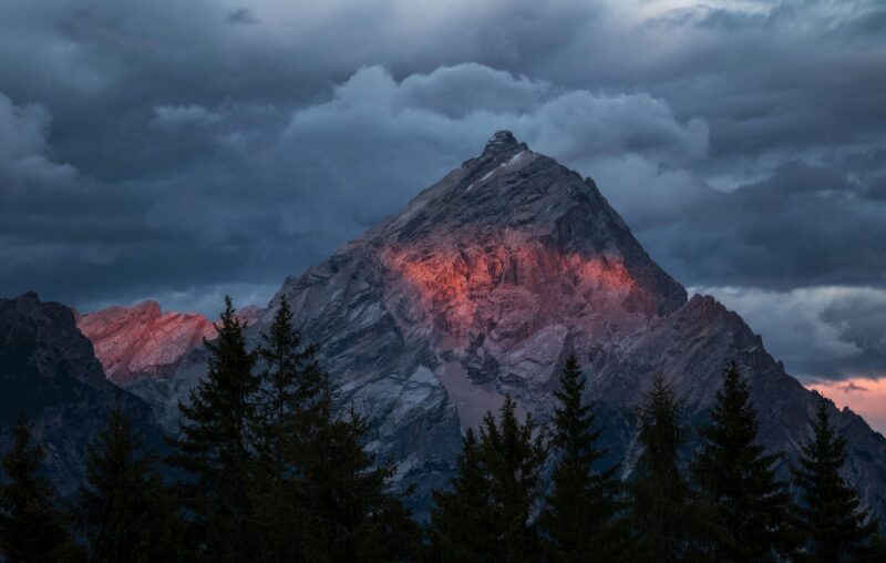 Experienced Professionals